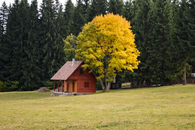 rodinný dům